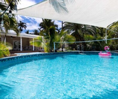 backyard-modern-house-with-swimming-pool-artificial-grass-stone-path-trees-chairs(5)_0x800