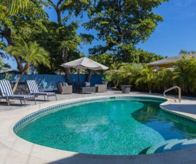 backyard-modern-house-with-swimming-pool-artificial-grass-stone-path-trees-chairs(6)_0x800