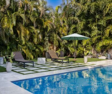 backyard-modern-house-with-swimming-pool-artificial-grass-stone-path-trees-chairs(7)_0x800