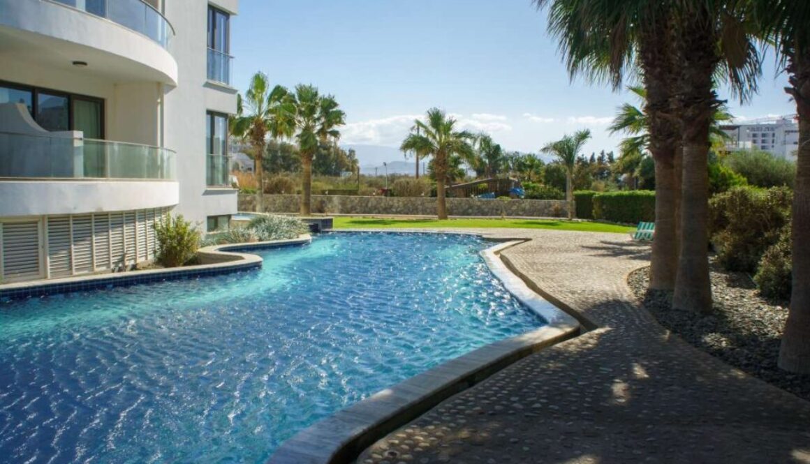 tranquil-oasis-with-swimming-pool-surrounded-by-palm-trees-sunny-day_0x800