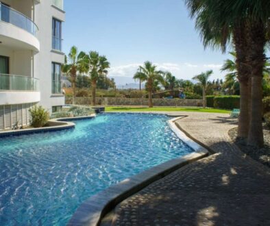 tranquil-oasis-with-swimming-pool-surrounded-by-palm-trees-sunny-day_0x800