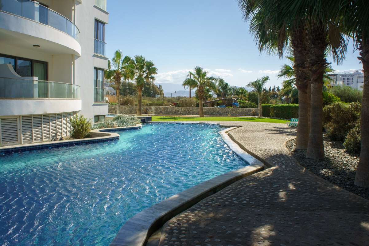 tranquil-oasis-with-swimming-pool-surrounded-by-palm-trees-sunny-day_0x800 tranquil-oasis-with-swimming-pool-surrounded-by-palm-trees-sunny-day_0x800