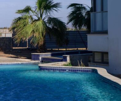 relaxing-afternoon-by-tranquil-poolside-surrounded-by-palm-trees-sunny-day_0x800